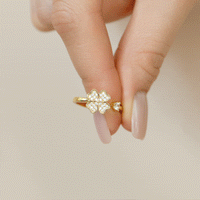 Balance Clover Ring