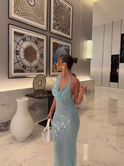 Rosy Sequin Maxi Dress